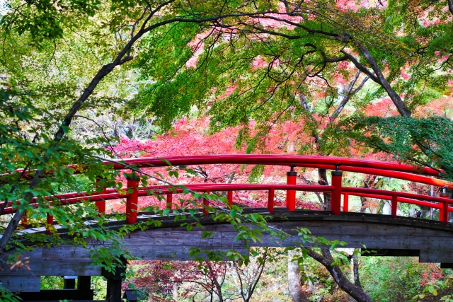 伊香保 河鹿橋